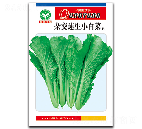 雜交速生小白菜-白菜種子-泉源
