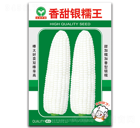 香甜銀糯王-玉米種子-泉源