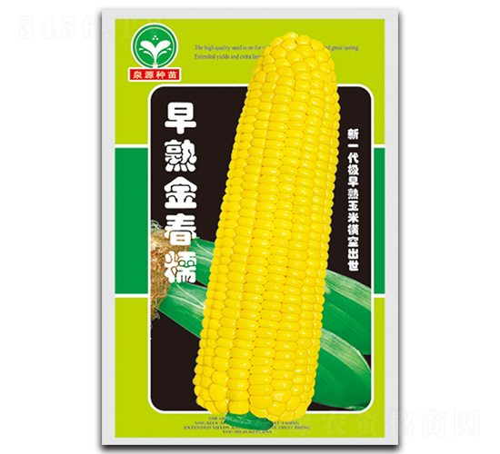 早熟金春糯-玉米種子-泉源