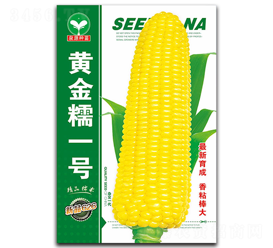 �S��Ŵһ̖-���׷N��-ȪԴ