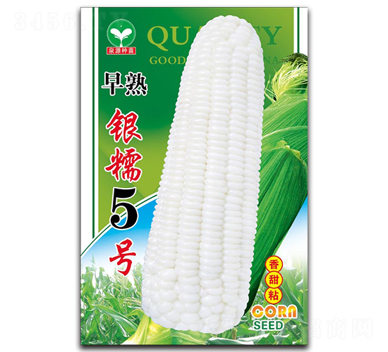 早熟銀糯5號-玉米種子-泉源