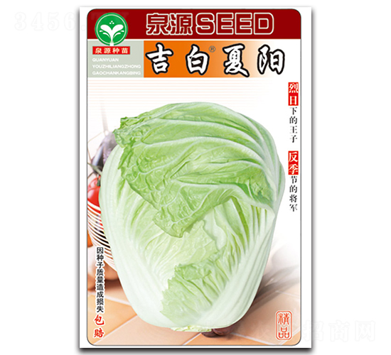 吉白夏陽(yáng)-白菜種子-泉源