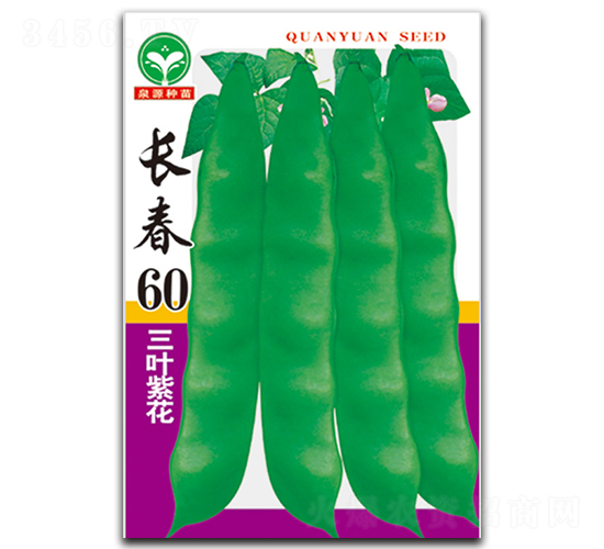 長春60-豆角種子-泉源