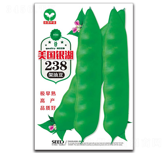 美國銀湖238-豆角種子-泉源
