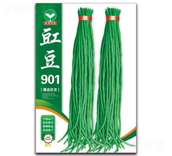 豇豆901-豆角種子-泉源