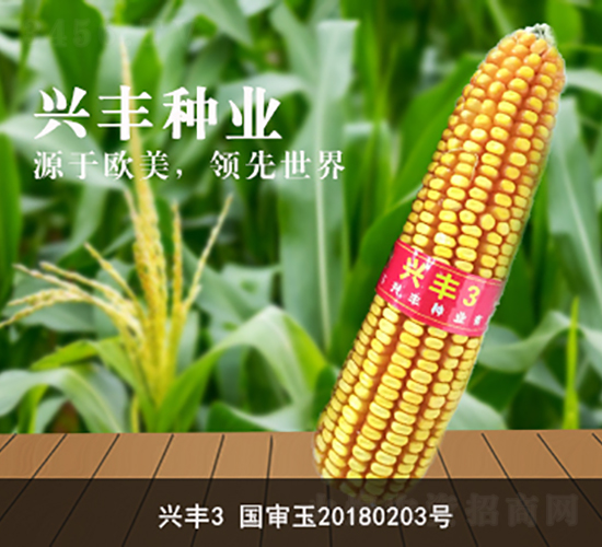 興豐3-興豐種業(yè)