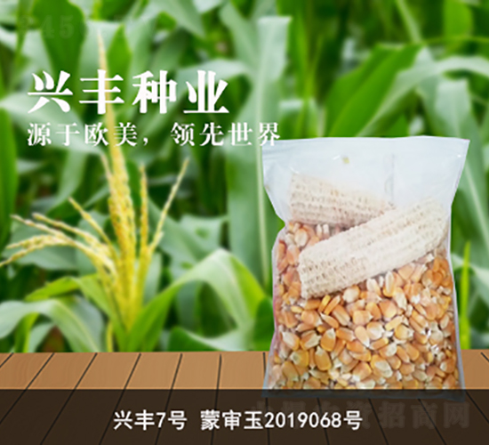 �d�S7̖(h��o)-�d�S�N�I(y��)