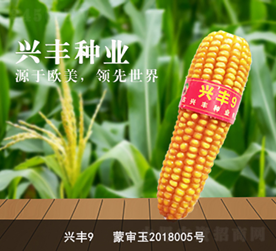 �d�S9-�d�S�N�I(y��)