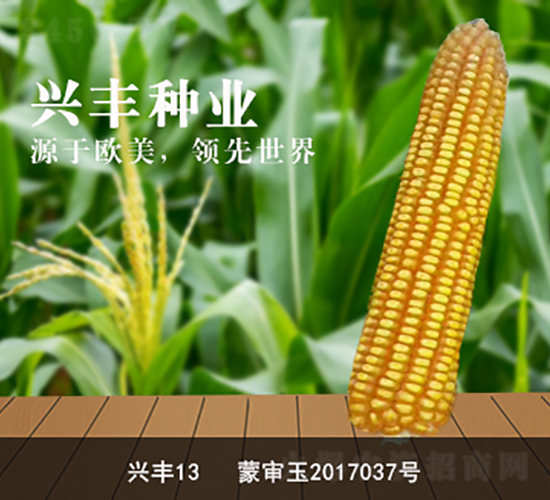 �d�S13-���׷N��-�d�S�N�I(y��)