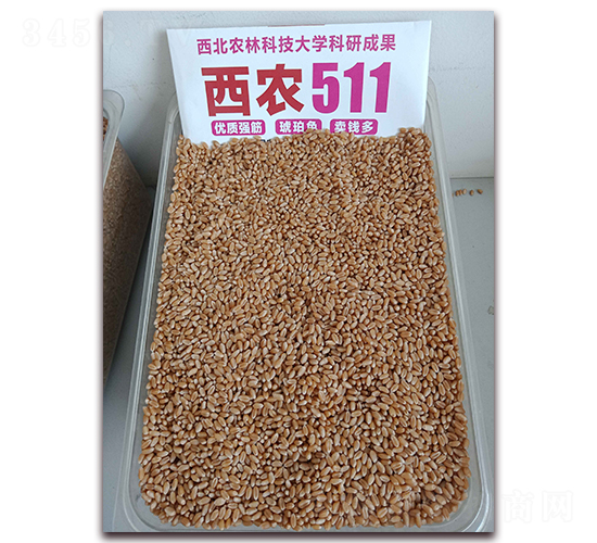 ���r(n��ng)511��(sh��)��D-С���N��-�S�ƷN�I(y��)