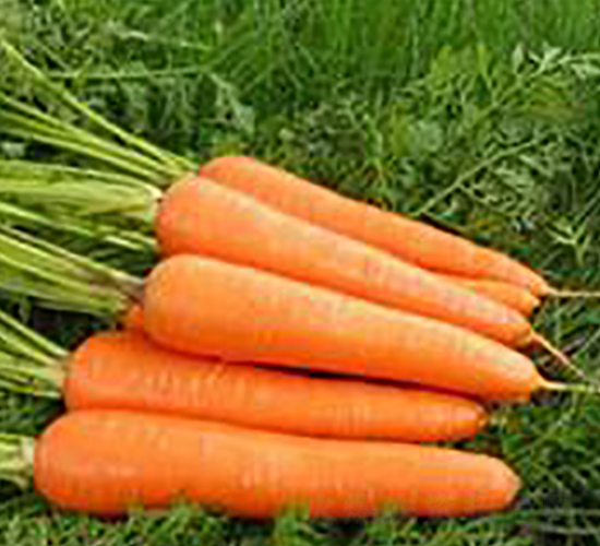 ����-���}���N��-���r(n��ng)�@ˇ