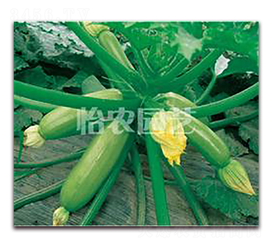 ����-�����J�N��-���r(n��ng)�@ˇ