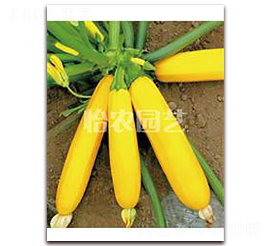 ��Ƥ�����J-�����J�N��-���r(n��ng)�@ˇ