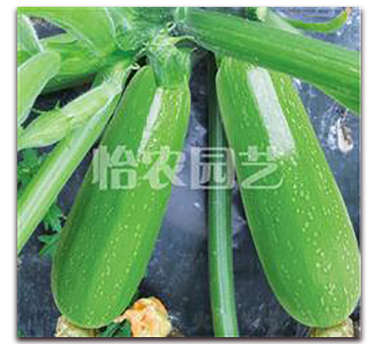 �G��������J-�����J�N��-���r�@ˇ