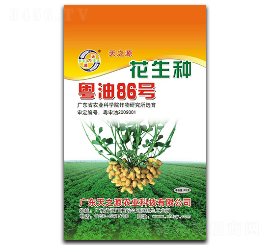 粵油86號-花生種子-天之源