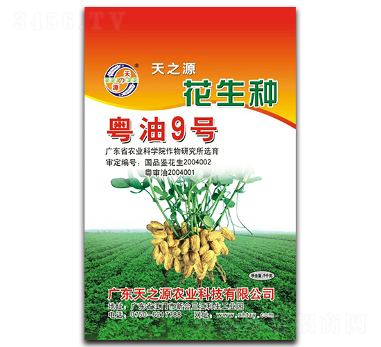 粵油9號-花生種子-天之源