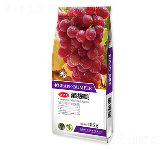 �ͺ�΢�������-��؁�������-�����