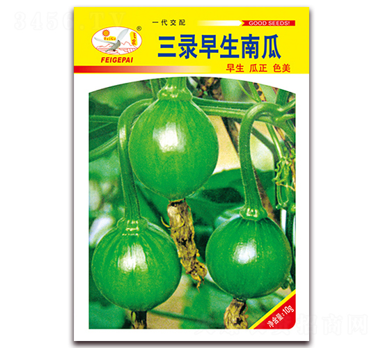 三錄早生南瓜-南瓜種子-飛歌農(nóng)業(yè)