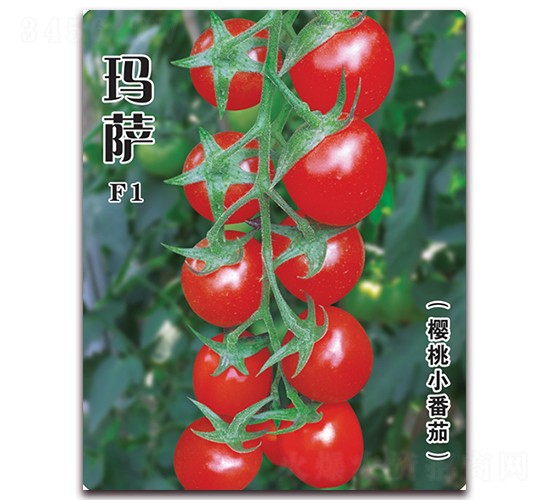 ���_-���ѷN��-�w���r�I(y��)