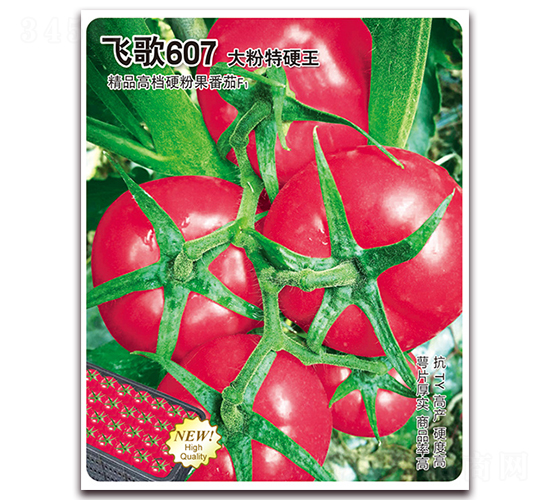 �w��607-���ѷN��-�w���r(n��ng)�I(y��)