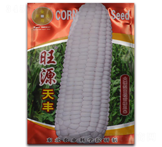 旺源天豐-白糯玉米種子-金馬開元