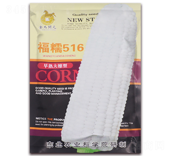 福糯516-早熟白糯玉米種子-金馬開元