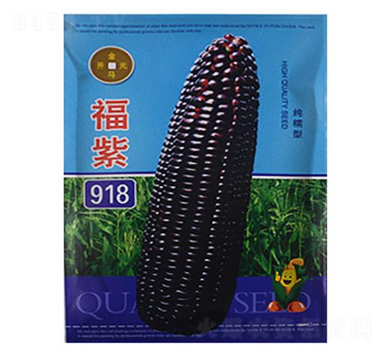 福紫918-黑糯玉米種子-金馬開(kāi)元