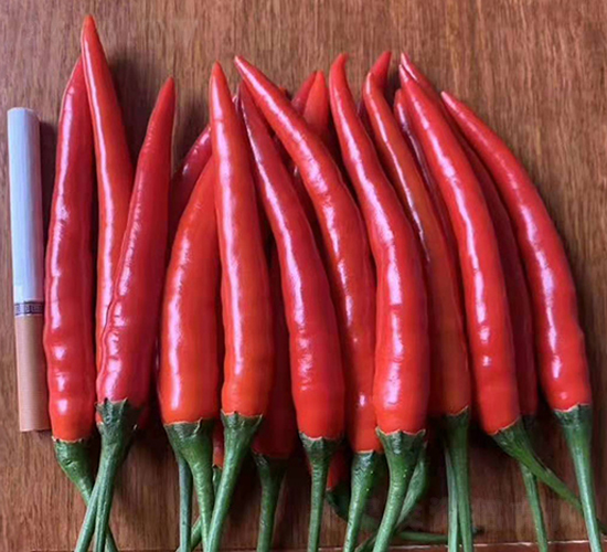 ���콷�N��-���R�_Ԫ