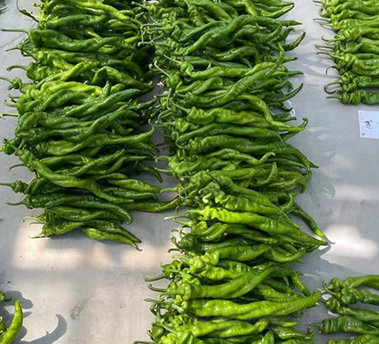 �M(j��n)���ݽz���N��-���R�_Ԫ