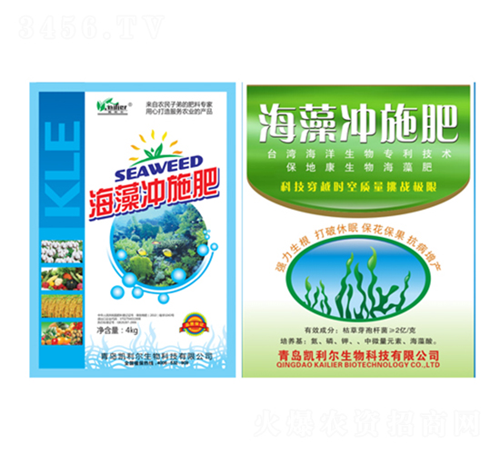 ����_ʩ��-�P����