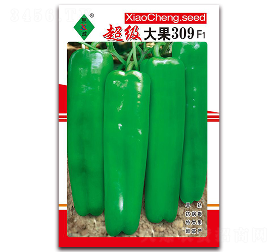 �������309-�ݽ��N��-ʒ�\