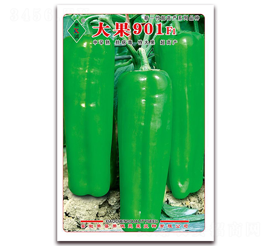 ���901-�ݽ��N��-ʒ�\(ch��ng)