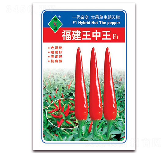 ����������-���콷�N��-ʒ�\