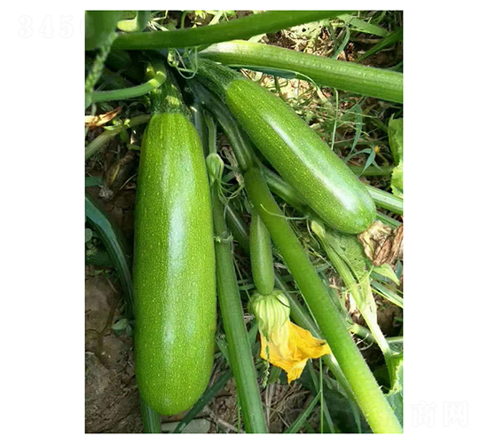 ����S306-�����J�N��-��V�r(n��ng)�I(y��)