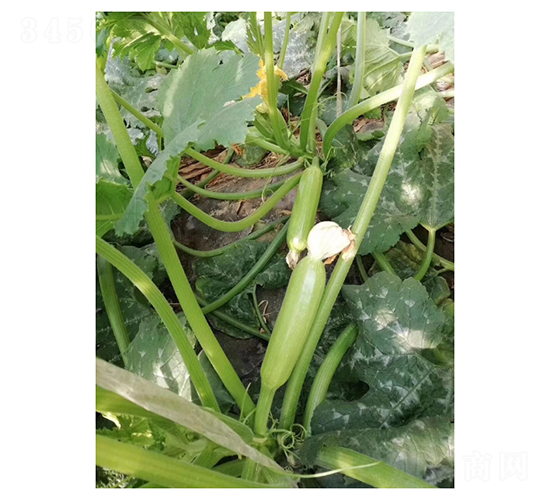 �G��3027-�����J�N��-��V�r(n��ng)�I(y��)