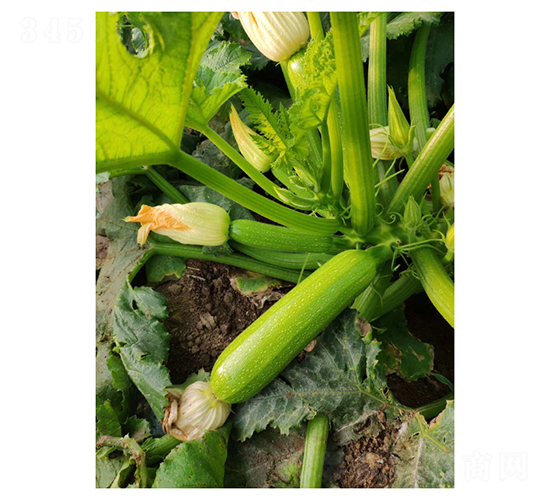 �G��һ̖-�����J�N��-��V�r(n��ng)�I(y��)