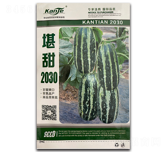 ����2030-��ϷN��-��V�r�I(y��)