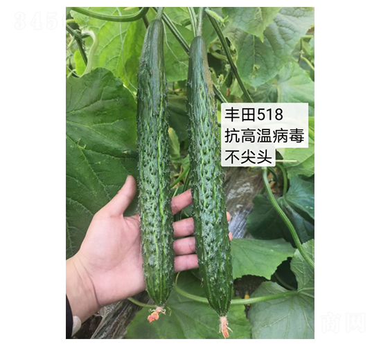 �S��99-�S�ϷN��-��V�r(n��ng)�I(y��)