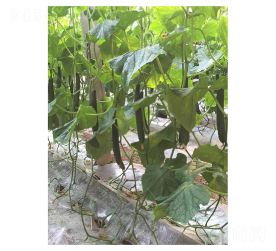 ������79-�S�ϷN��-��V�r(n��ng)�I(y��)