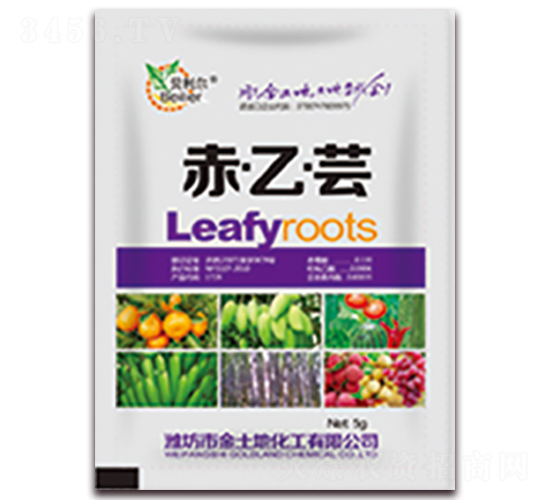 �ࡤ�ҡ��|-������