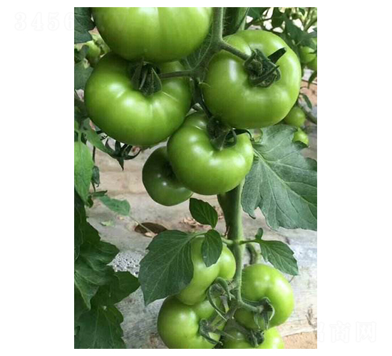 �W��308-���ѷN��-��ϲ�r(n��ng)�I(y��)