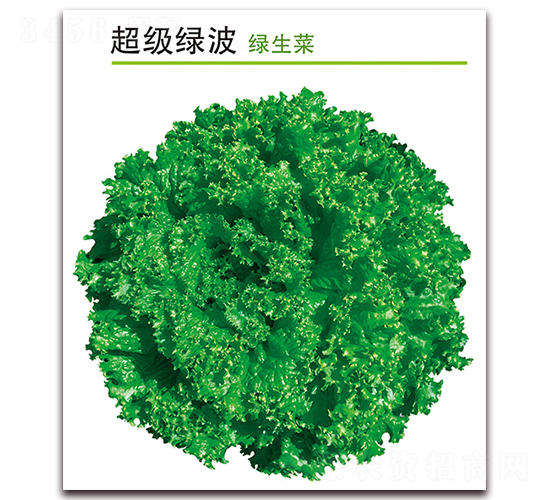 ����(j��)�G��-���˷N��-������