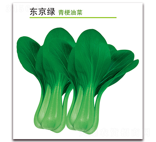 �|���G-�๣�˷N��-������