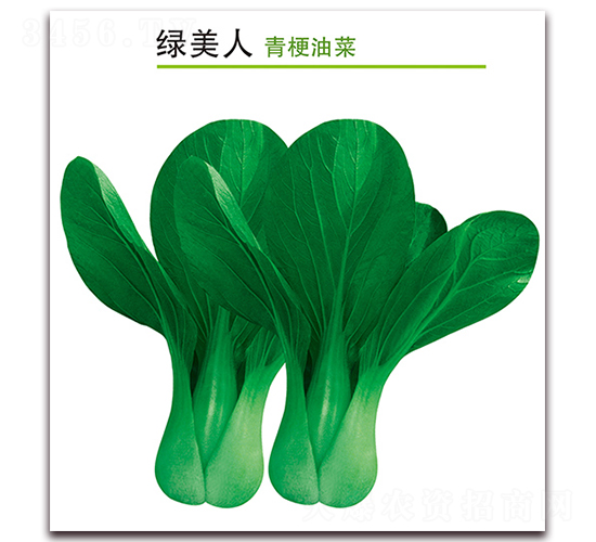 �G����-�๣�˷N��-������