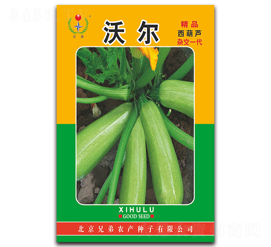 �֠�-�����J�N��-�ֵ�