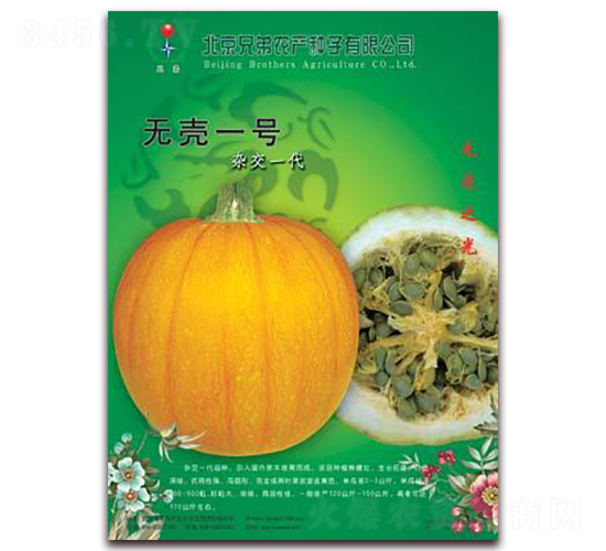 無殼一號-南瓜種子-兄弟