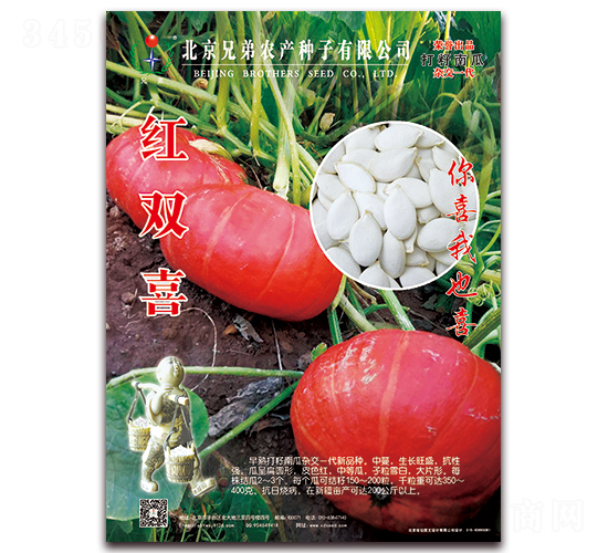 紅雙喜-南瓜種子-兄弟