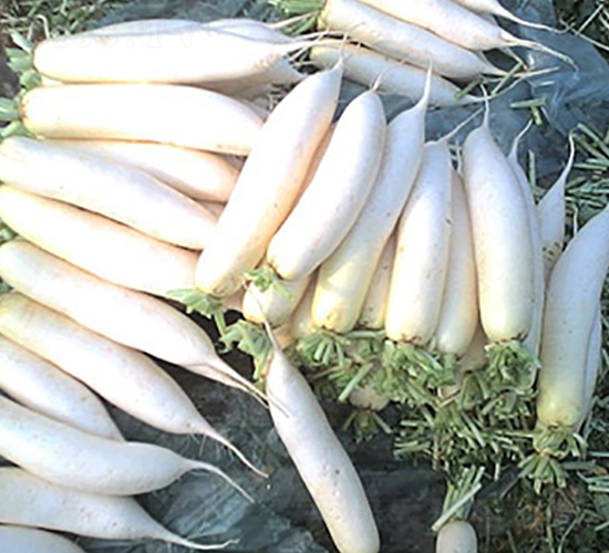 �M���}��-�}���N��-�M��N��