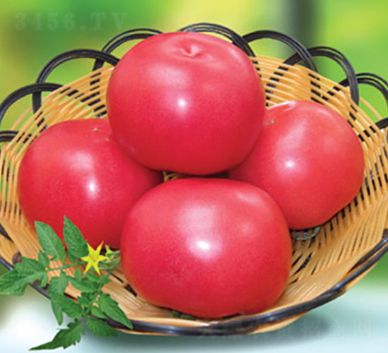 �ݷ۶�̖(h��o)����-���ѷN��-�M��N��