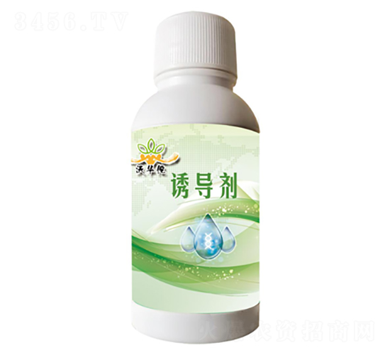 �T��(d��o)��-���A٢-�h���r(n��ng)�I(y��)